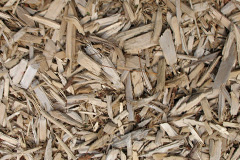 biomass boilers Tyddyn